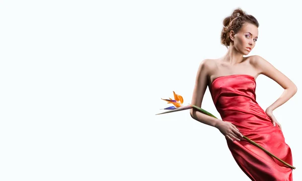 Hermosa chica en un vestido largo rojo sostiene una flor exótica en una h —  Fotos de Stock