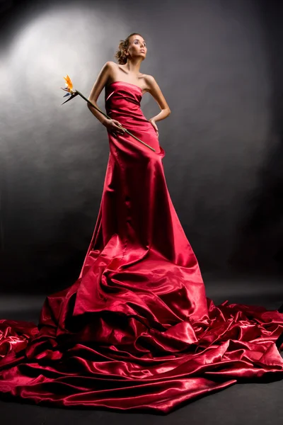 Uzun Kırmızı elbiseli güzel kız egzotik çiçek bir elinde tutar. — Stok fotoğraf