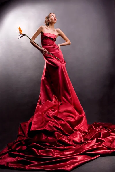 Schöne Mädchen in einem langen roten Kleid hält eine exotische Blume in der Hand auf einem grauen Hintergrund — Stockfoto