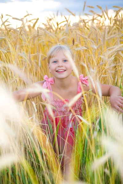 在小麦田中的小女孩 背景是多云的天空 — 图库照片