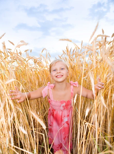 Uma menina num campo de trigo. Contra o pano de fundo de céus nublados — Fotografia de Stock