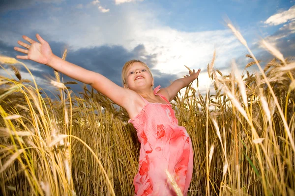 Маленька Дівчинка Стрибає Пшеничне Поле — стокове фото