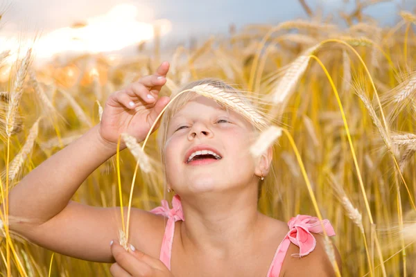 Bambina in un campo di grano. — Foto Stock