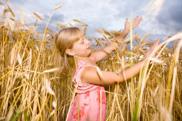 Маленька Дівчинка Пшеничному Полі — стокове фото