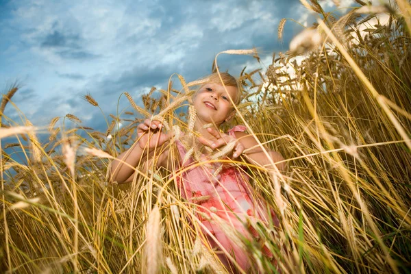 Buğday alanında küçük kız — Stok fotoğraf