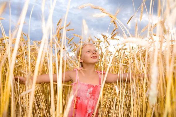 在小麦田中的小女孩 蓝蓝的天空的背景 — 图库照片