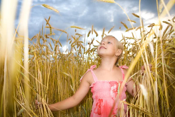 Bambina nel campo di grano — Foto Stock