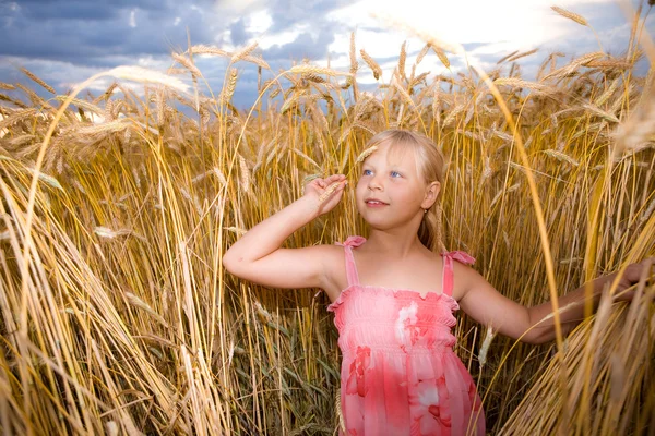 Little Girl Wheat Field — Stock Photo, Image