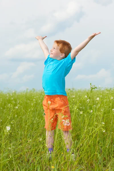 Happy Boy Enjoy Meadow Stock Image