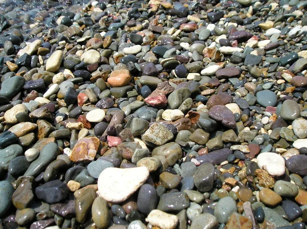 Stock image Picturesque pebble