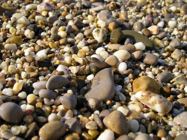 stock image Picturesque pebble