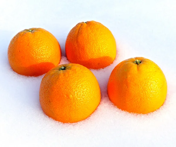 Τα πορτοκάλια στο χιόνι. Εικόνα Αρχείου