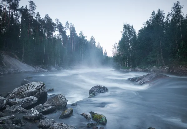 야생 산 강 — 스톡 사진