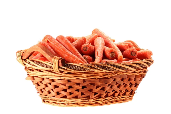 Colture di carote — Foto Stock