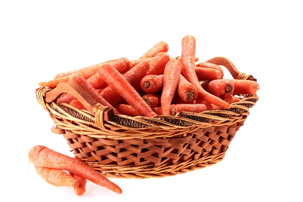 Colture di carote — Foto Stock