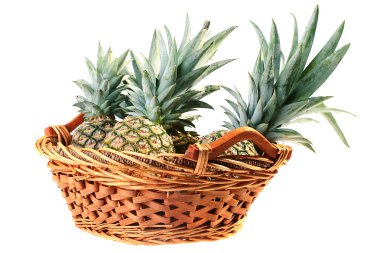 ananas kırpma