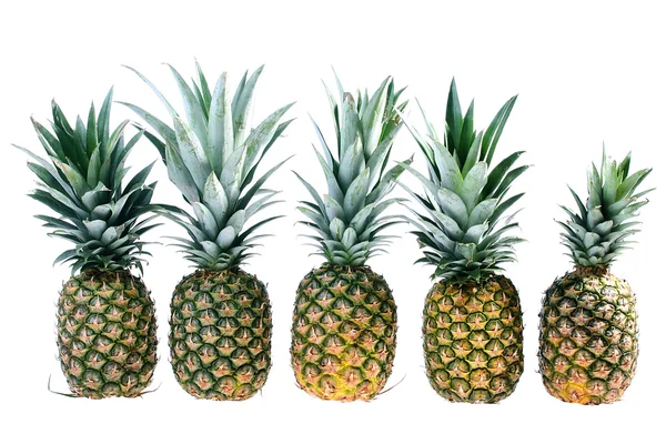 Vijf ananas — Stockfoto