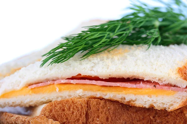 Hot sandwich — Stock Photo, Image