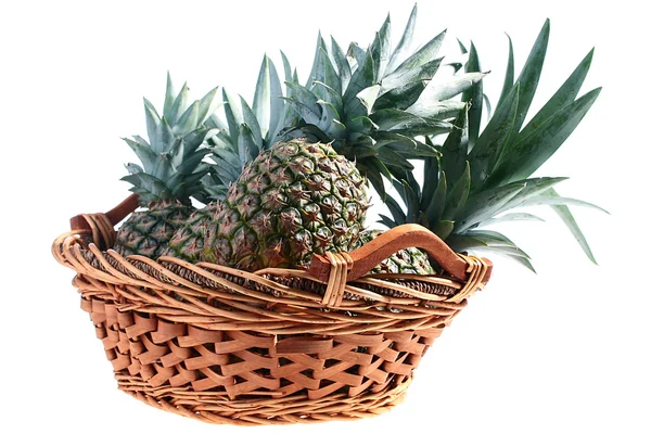 Gewas ananas — Stockfoto