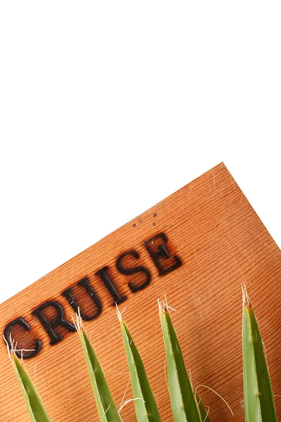 Cruise — Stock Photo, Image