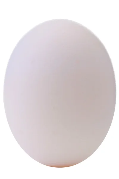 Большое яйцо — стоковое фото