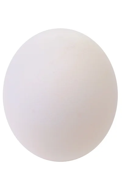 Large egg — Stock Photo, Image