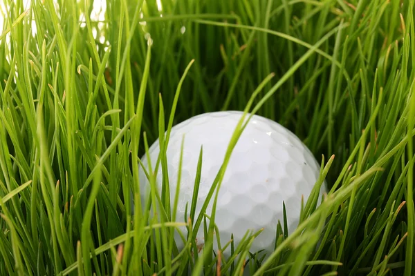 Palla per golf — Foto Stock