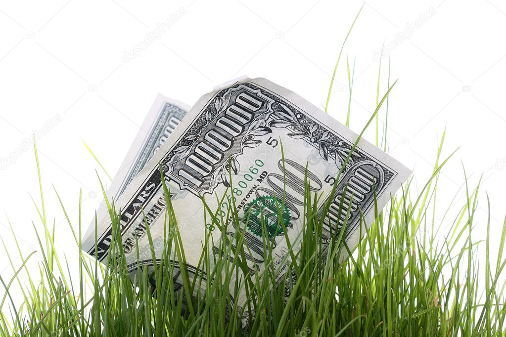 loss-money-stock-photo-vipdesignusa-3383544