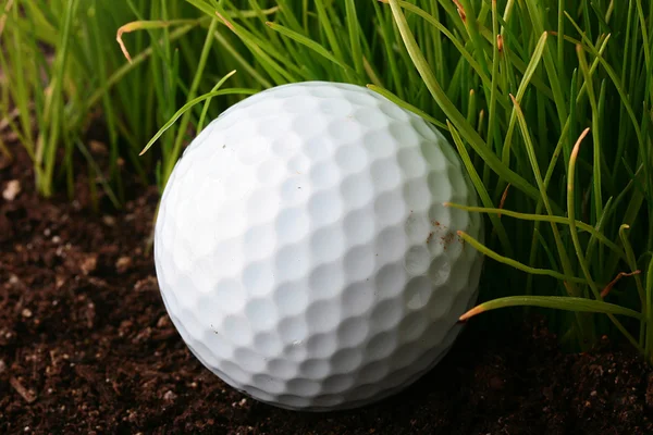 ゴルフ用ボール — ストック写真
