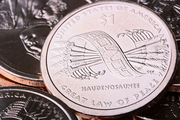 Metal dollar of 2010 — Stock Photo, Image