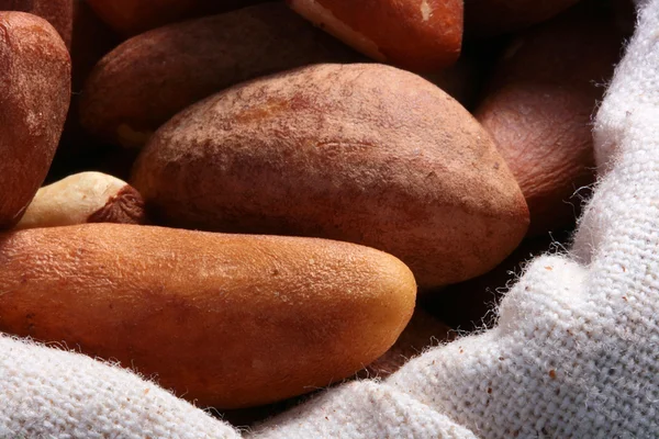 Орехи Бразилии — стоковое фото