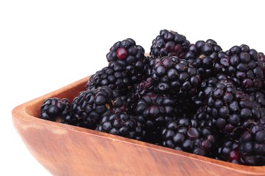 Blackberries clipart