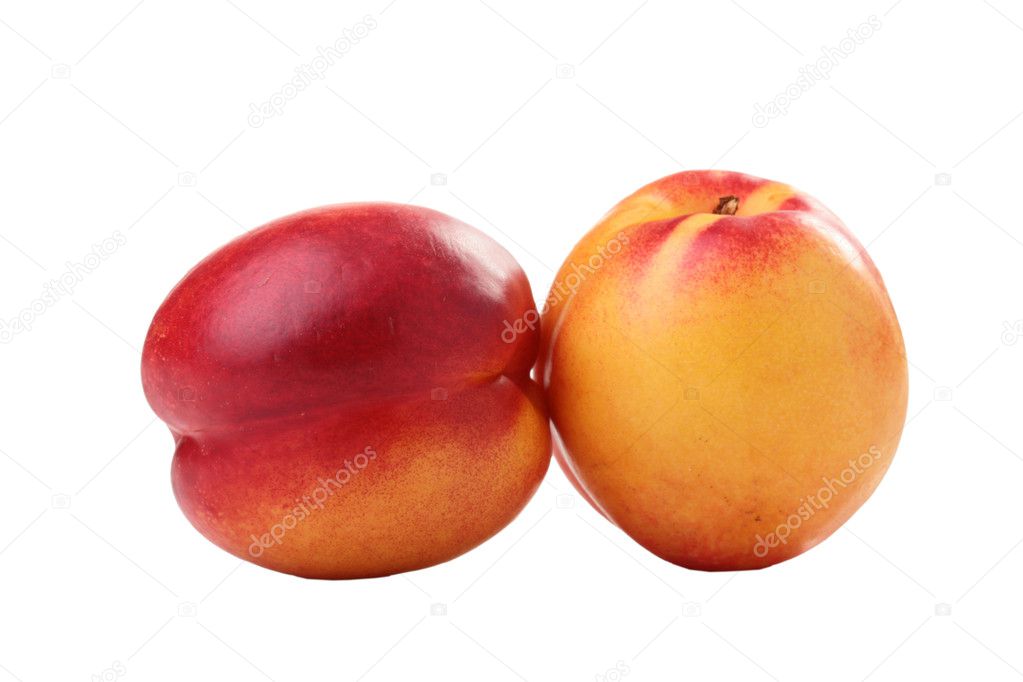Nectarines Stock Photo by ©VIPDesignUSA 3507237