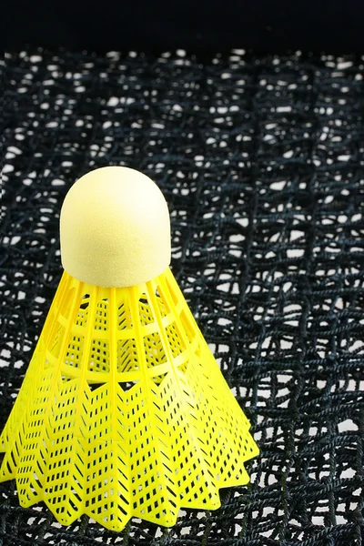 毽球和网 — 图库照片