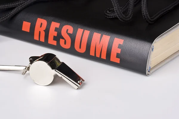 Big resume — Stock Photo, Image
