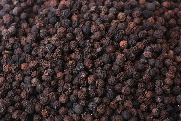 stock image Spice - black pepper