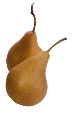 armutlar