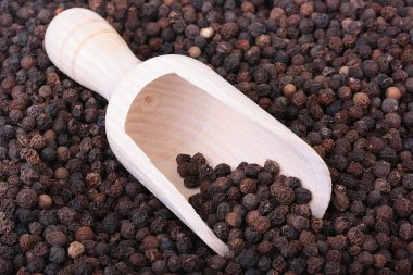 Black pepper clipart