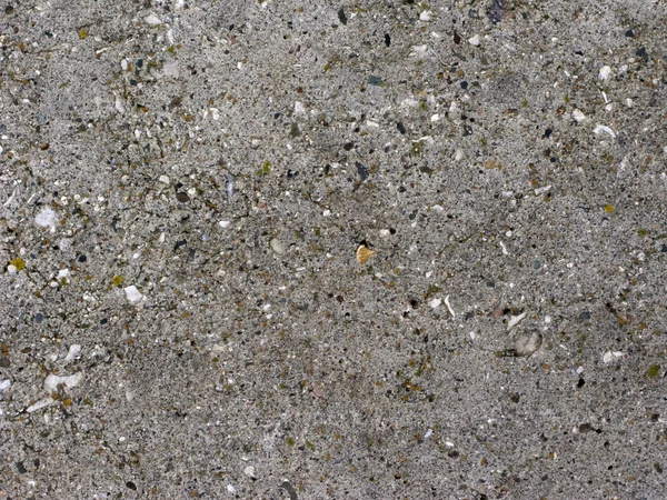 灰色のコンクリートの背景 — ストック写真