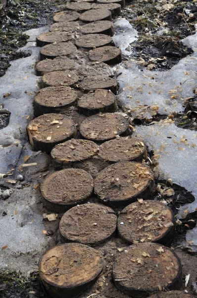 stock image Wooden stumps as a foot way