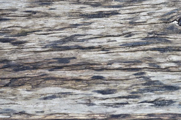 Weathered wet wooden background — Stock Photo, Image