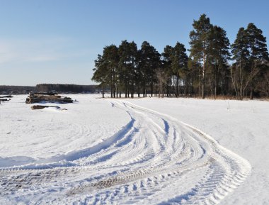 Winter road at forest edge in winter clipart