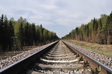 Railway track in forest clipart