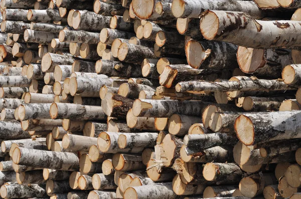 Stack of birch logs background — Stock Photo, Image
