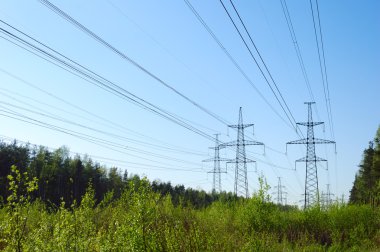 Power lines in forest clipart