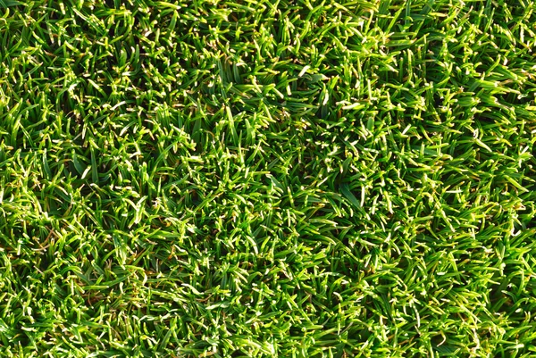 Naturligt gräs konsistens — Stockfoto