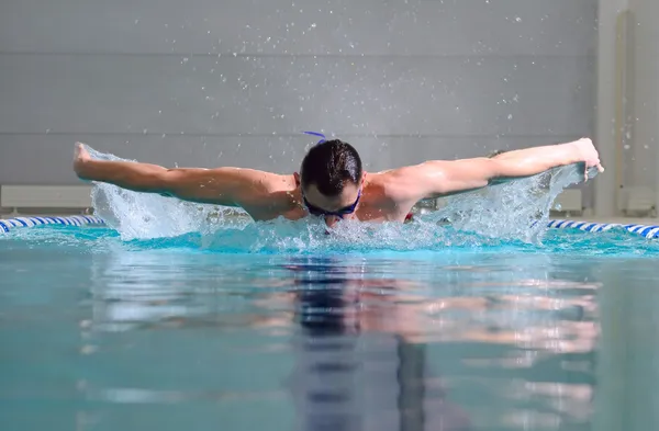 バタフライ泳法 — ストック写真