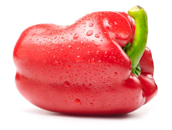Fresca paprica rossa bagnata isolata su bianco — Foto Stock