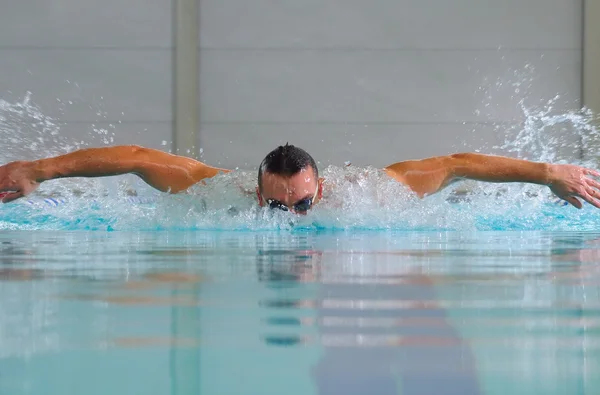 Человек плавает с помощью бабочки инсульт в помещении п — стоковое фото