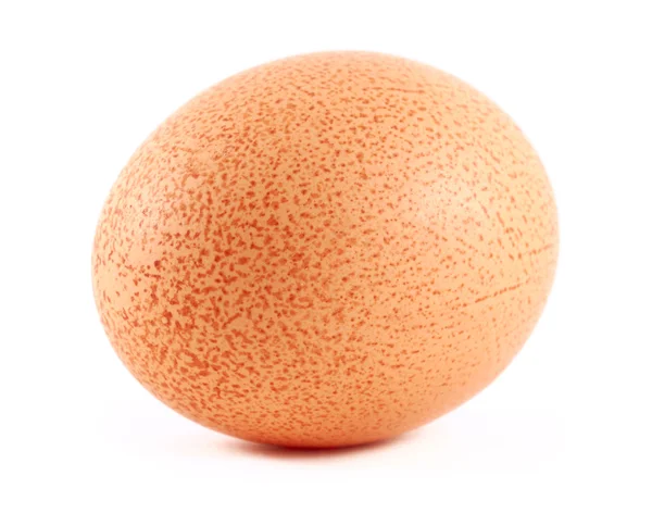 Huevo marrón manchado aislado en blanco — Foto de Stock